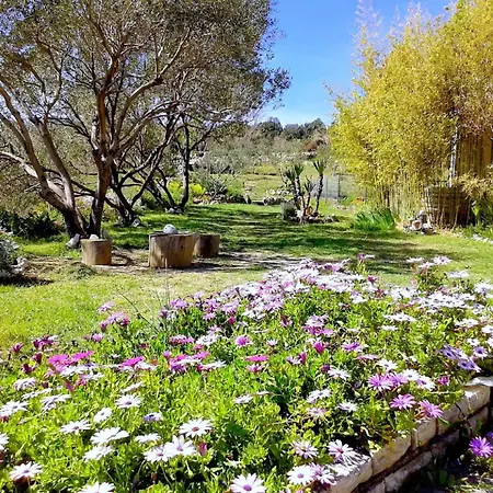 Apartment Rujo Palit