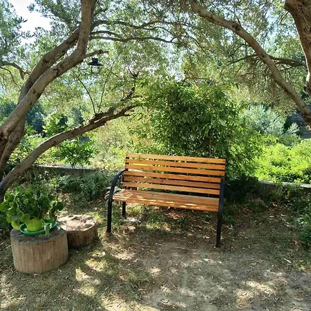 Rujo Apartament Palit